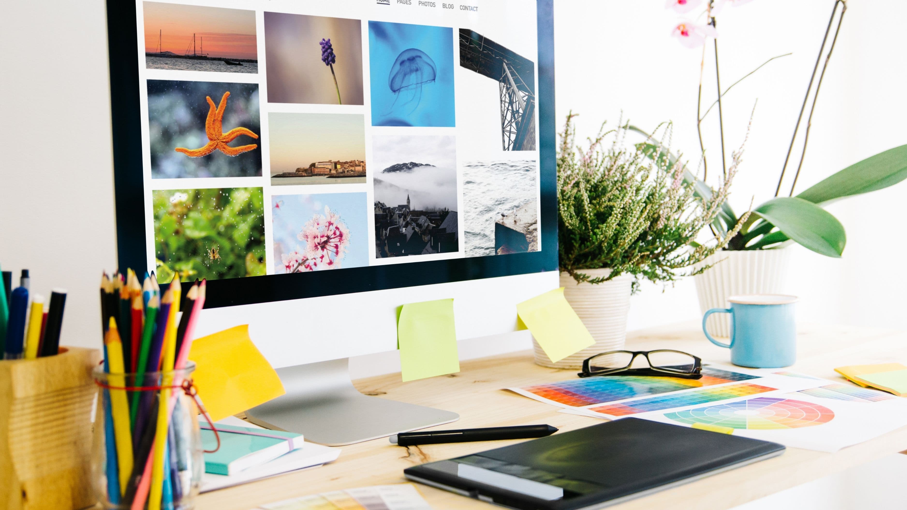 How to Build a Freelance Portfolio When You Have No Experience